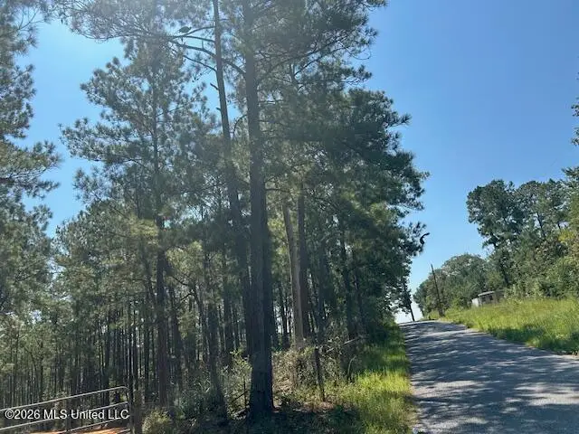 0 Charlie Rhodus Road, Magnolia, MS 39652 - #3