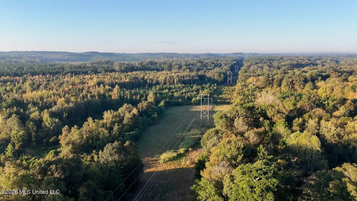 Mississippi 35 Highway, Carthage, MS 39051 - #1