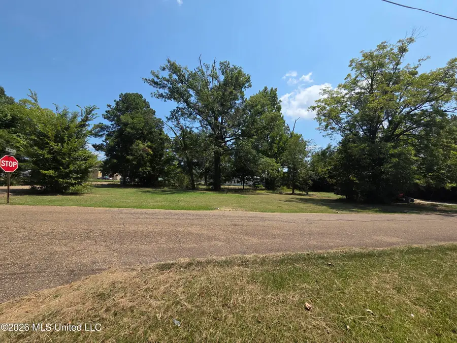 254 Gray Lane, Forest, MS 39074 - #3