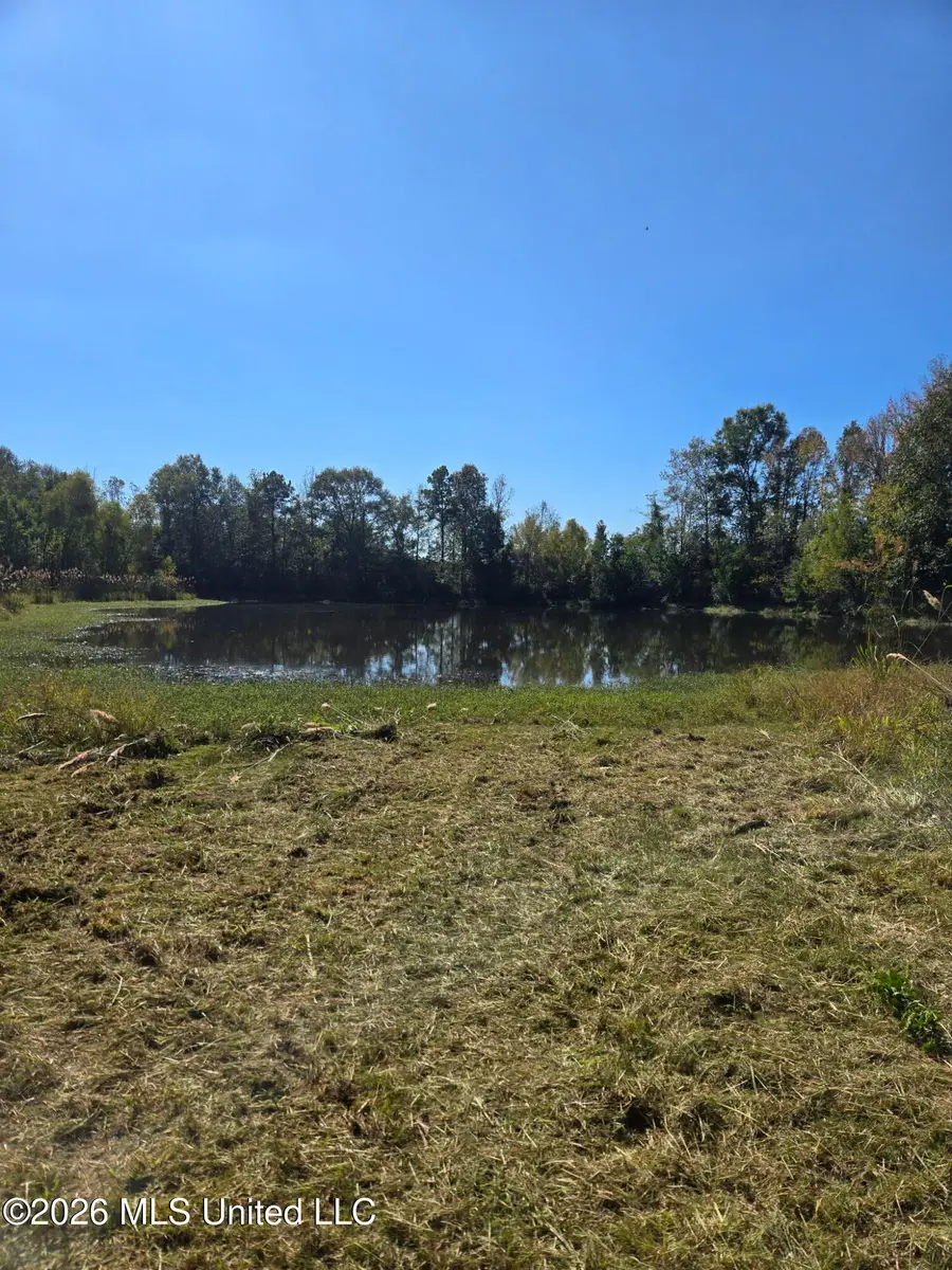 Peterson Road, Smithdale, MS 39664 - #2