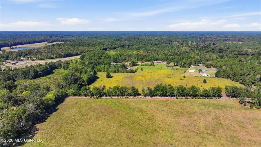 Presley Road, Lena, MS 39094 - #2