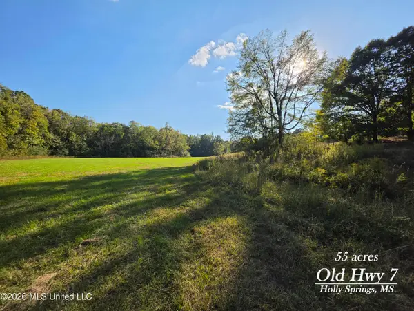 Old Hwy 7, Holly Springs, MS 38635