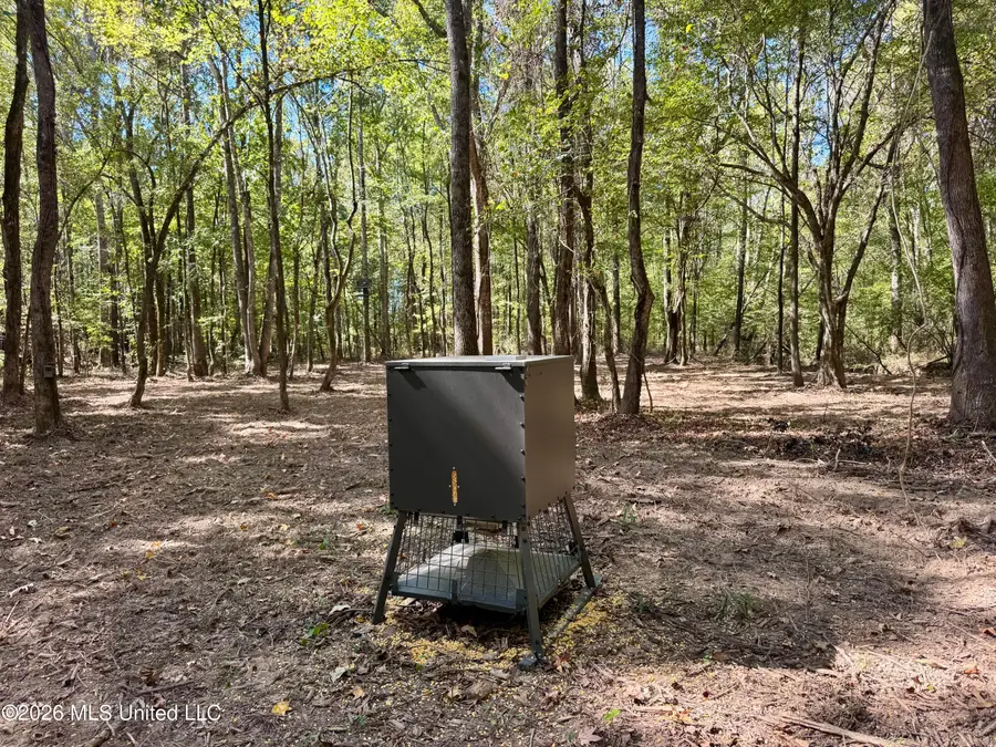 0001 Hwy 17, Camden, MS 39045 - #3