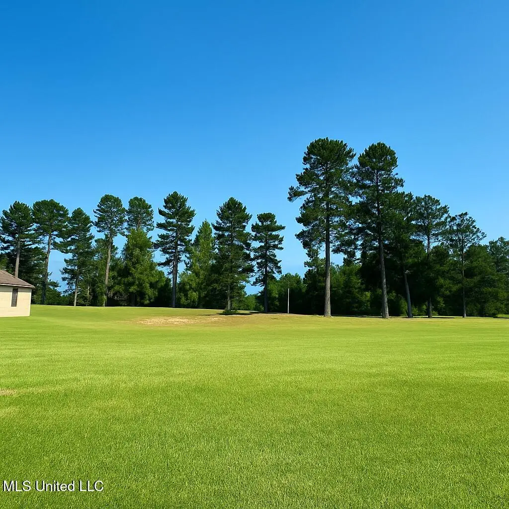 113 Vision Circle, Canton, MS 39046 - #1