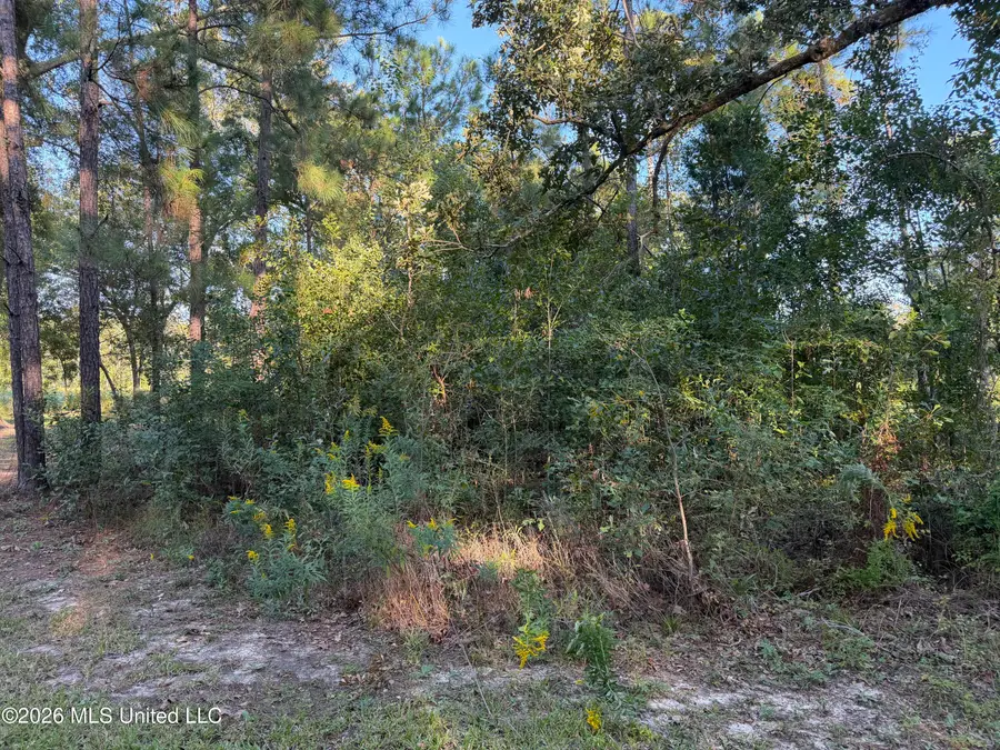 7078 Road 132, Bay Saint Louis, MS 39520 - #2