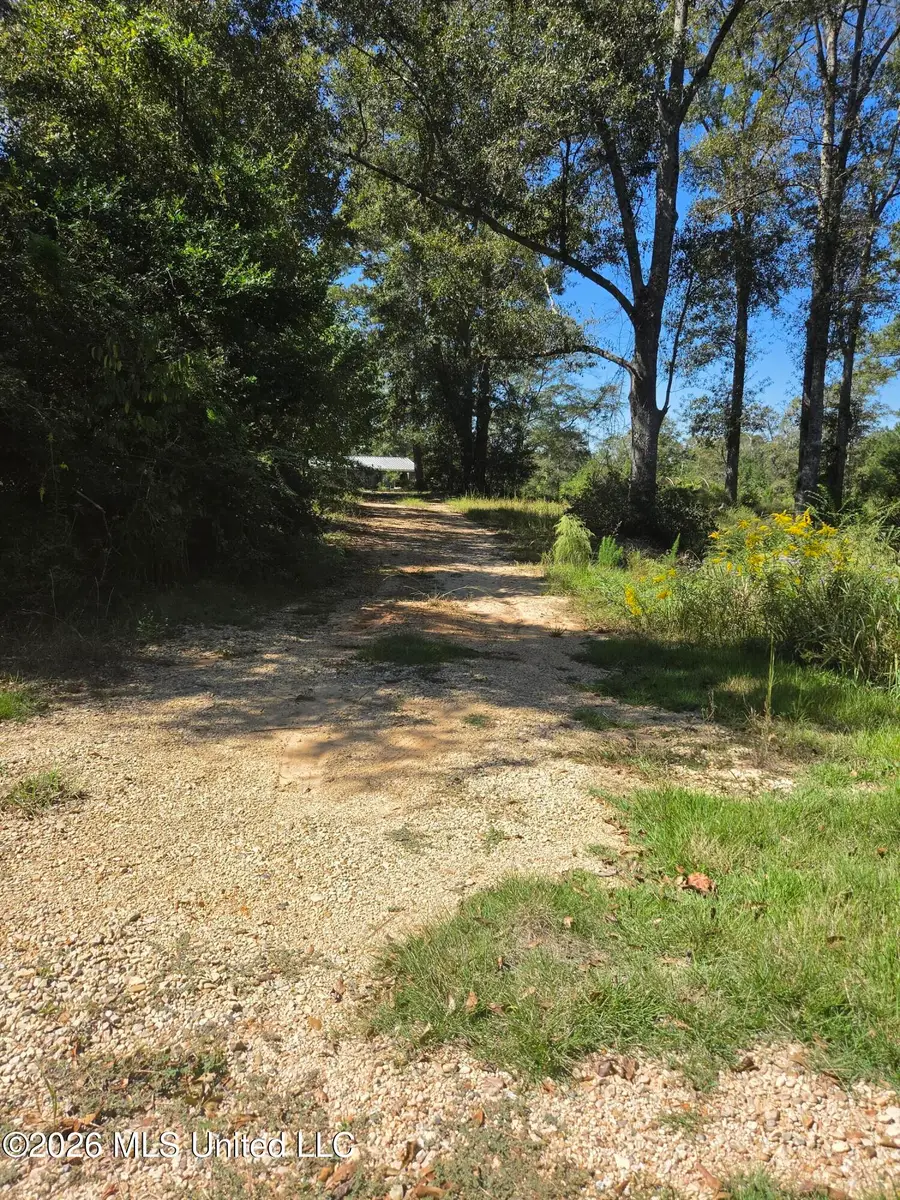 1743 Bouie Road, Carriere, MS 39426 - #2