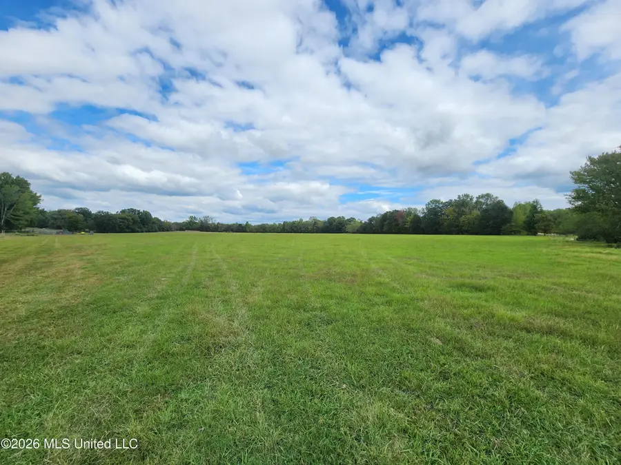 81.4 Rowell Road, Coldwater, MS 38618 - #3