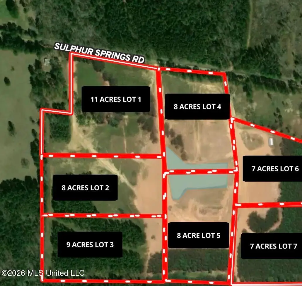 Lot 7 Sulphur Springs Road, Canton, MS 39046 - #1