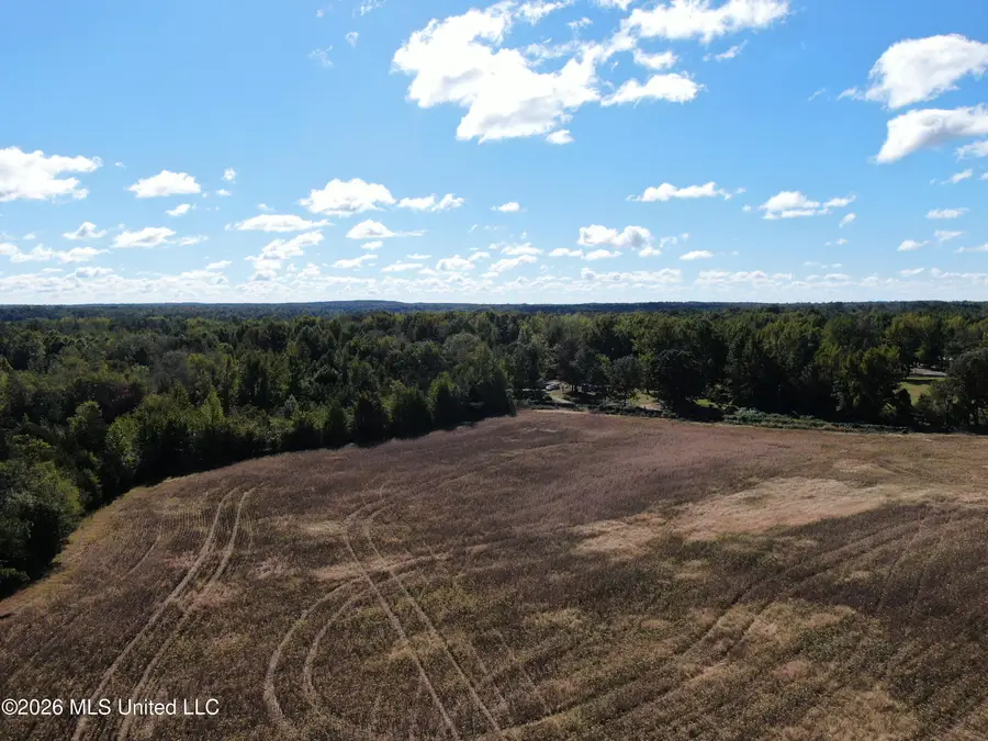 6 Enoch, Holly Springs, MS 38635 - #2
