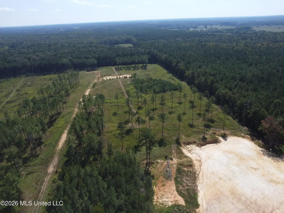 Lot 10 Sulphur Springs Road, Canton, MS 39046 - #1