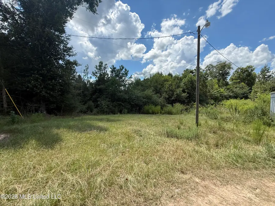 Boggan Ridge Road, Mendenhall, MS 39114 - #2