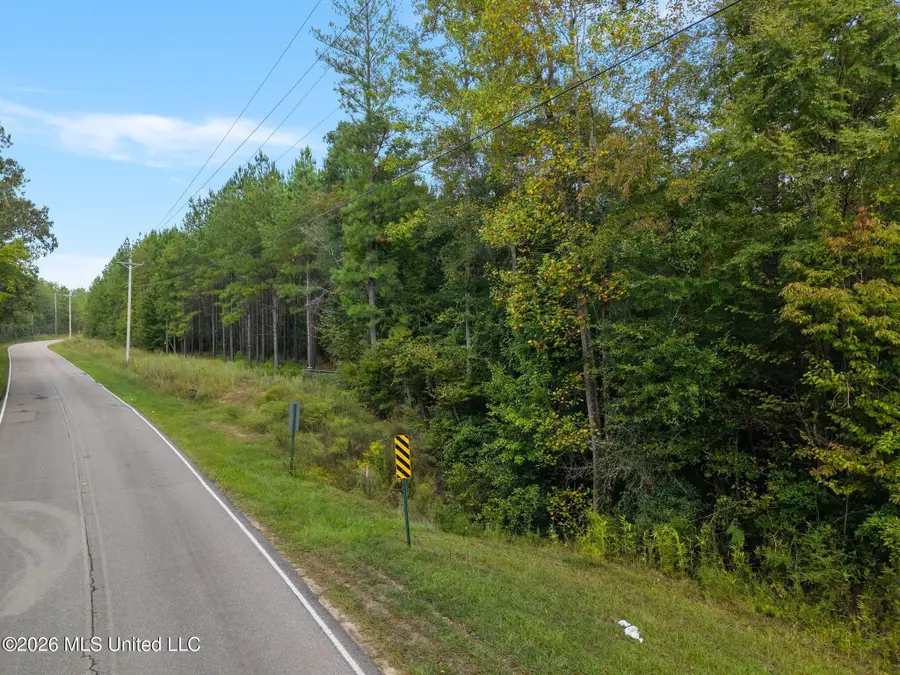 13 Acres Lott Town, Hattiesburg, MS 39402 - #2