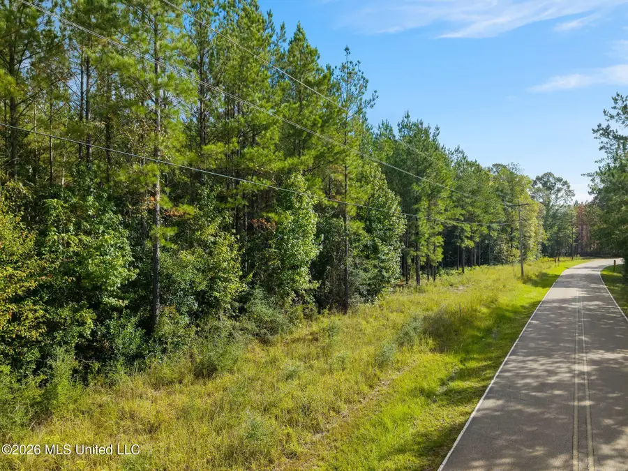 13 Acres Lott Town, Hattiesburg, MS 39402 - #3