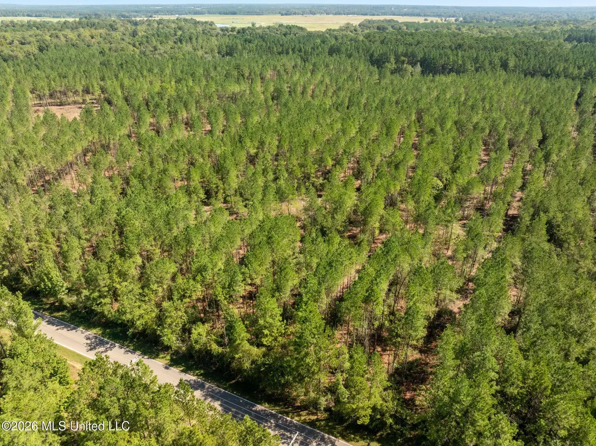 19 Acres Lott Town Road, Hattiesburg, MS 39402 - #1
