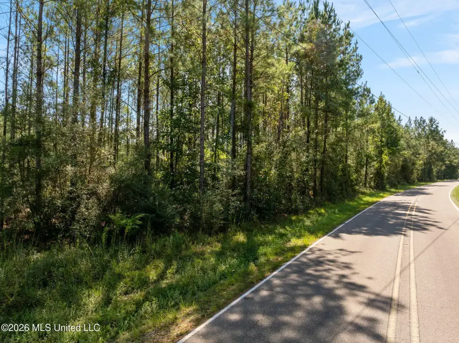 19 Acres Lott Town Road, Hattiesburg, MS 39402 - #3