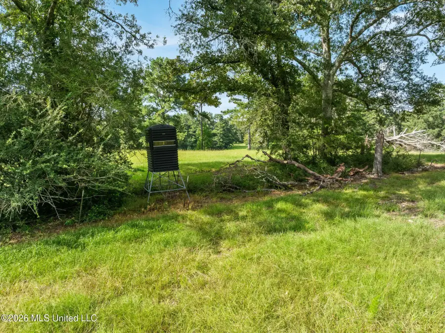 2115 Old Brookhaven Road, Summit, MS 39666 - #3