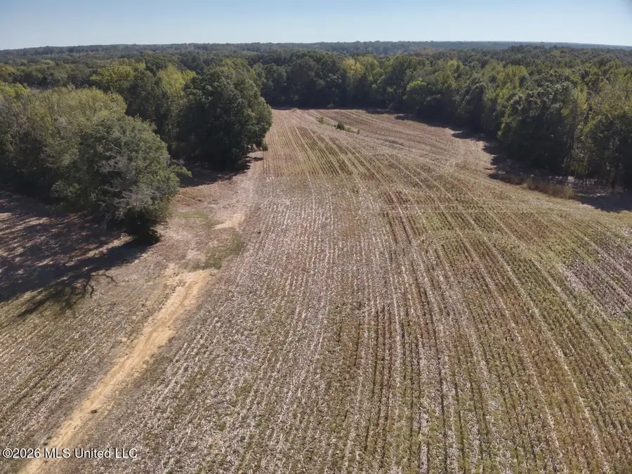 1648 Linwood Road, Vaughan, MS 39179 - #3