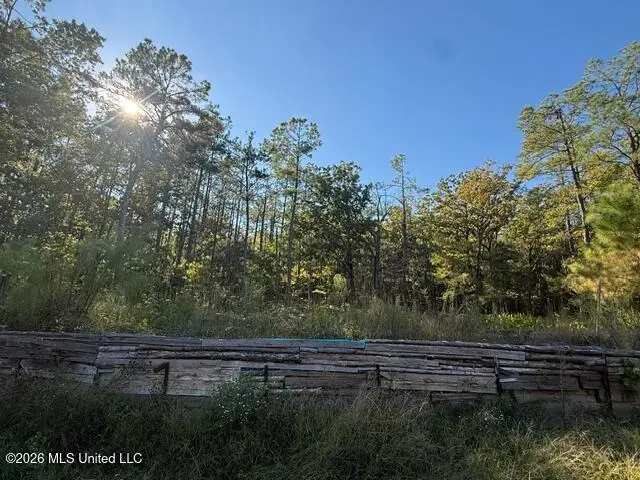 349 Black Gum Drive, Batesville, MS 38606 - #2