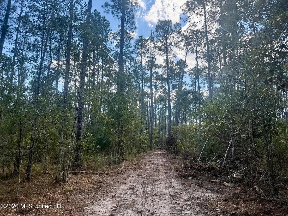 Frank Murphy Road, Lucedale, MS 39452 - #1