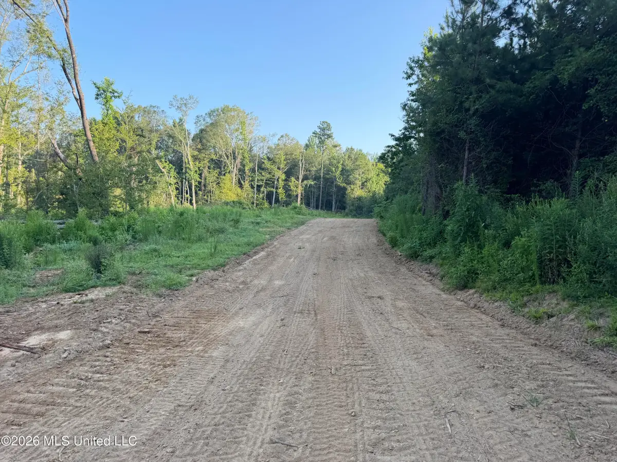 NW Carroll Road, Port Gibson, MS 39150 - #1