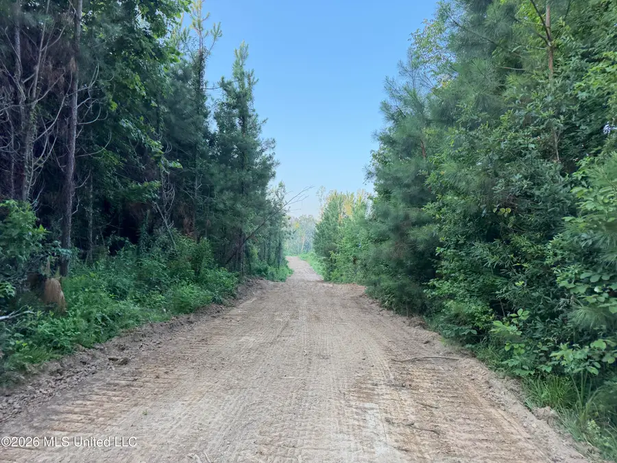 NW Carroll Road, Port Gibson, MS 39150 - #3