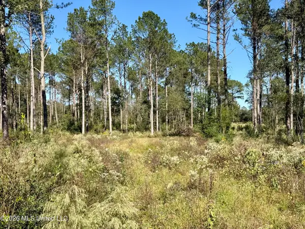 Rutland Road, Jayess, MS 39641