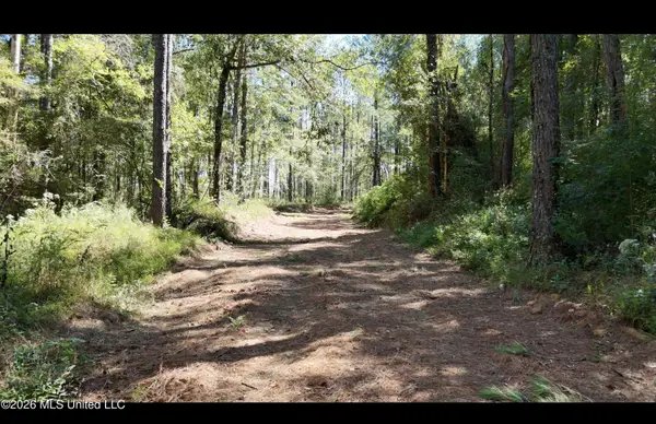 Gunnell Road, Ruth, MS 39662