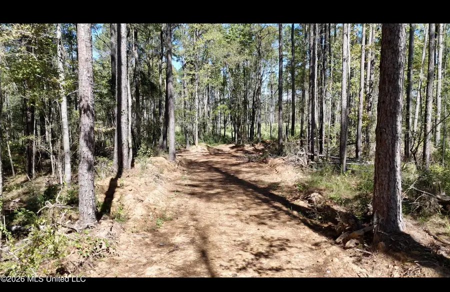 Gunnell Road, Ruth, MS 39662 - #2