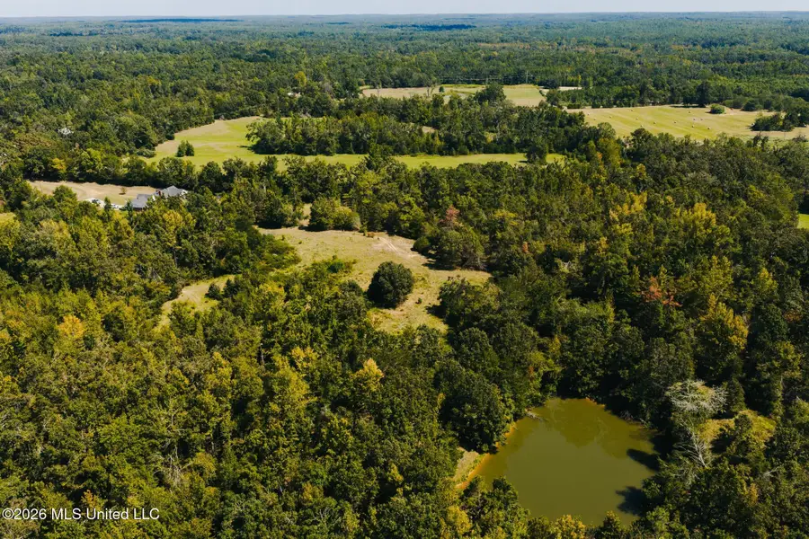 376 Christofer Lane, Lexington, MS 39095 - #3