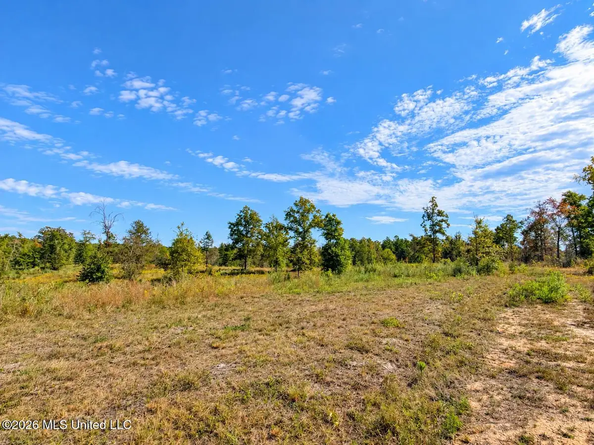 23.21 +/- Ac Industrial Park Road, Leakesville, MS 39451 - #1