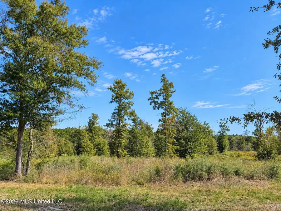 23.21 +/- Ac Industrial Park Road, Leakesville, MS 39451 - #3
