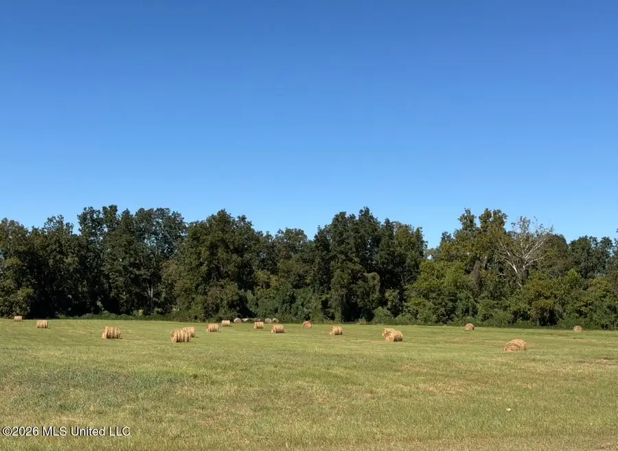 Crescent Meadow Drive, Holly Springs, MS 38635 - #3