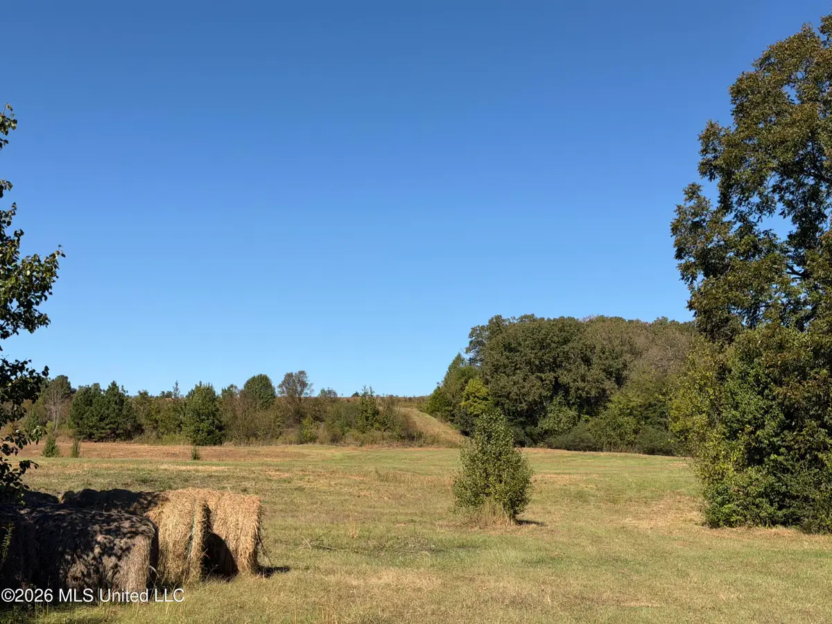 4 SW Boundary Street, Holly Springs, MS 38635 - #1