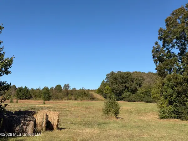 4 SW Boundary Street, Holly Springs, MS 38635