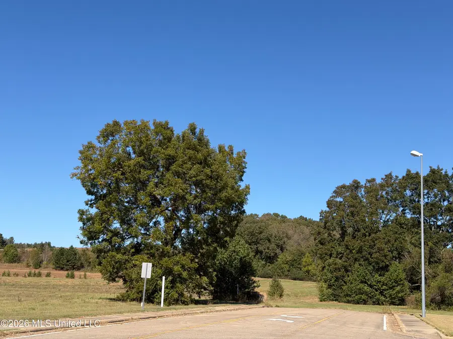 4 SW Boundary Street, Holly Springs, MS 38635 - #3