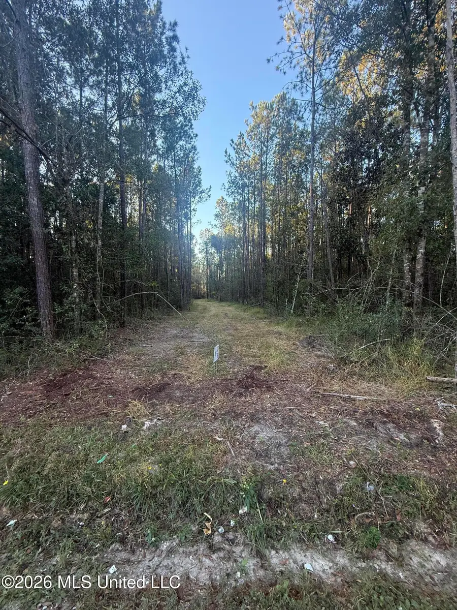 Lot 8 Big Point Road, Moss Point, MS 39562 - #2