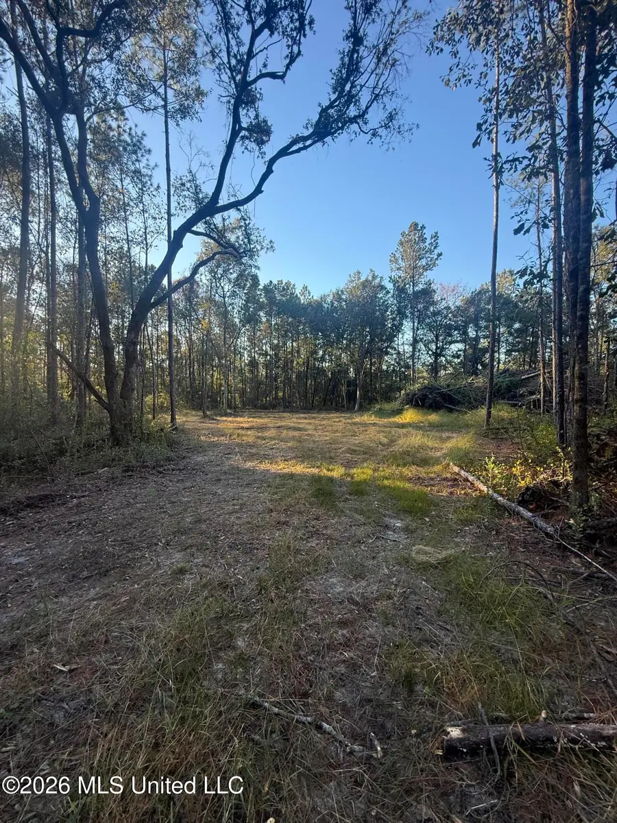 Lot 8 Big Point Road, Moss Point, MS 39562 - #3