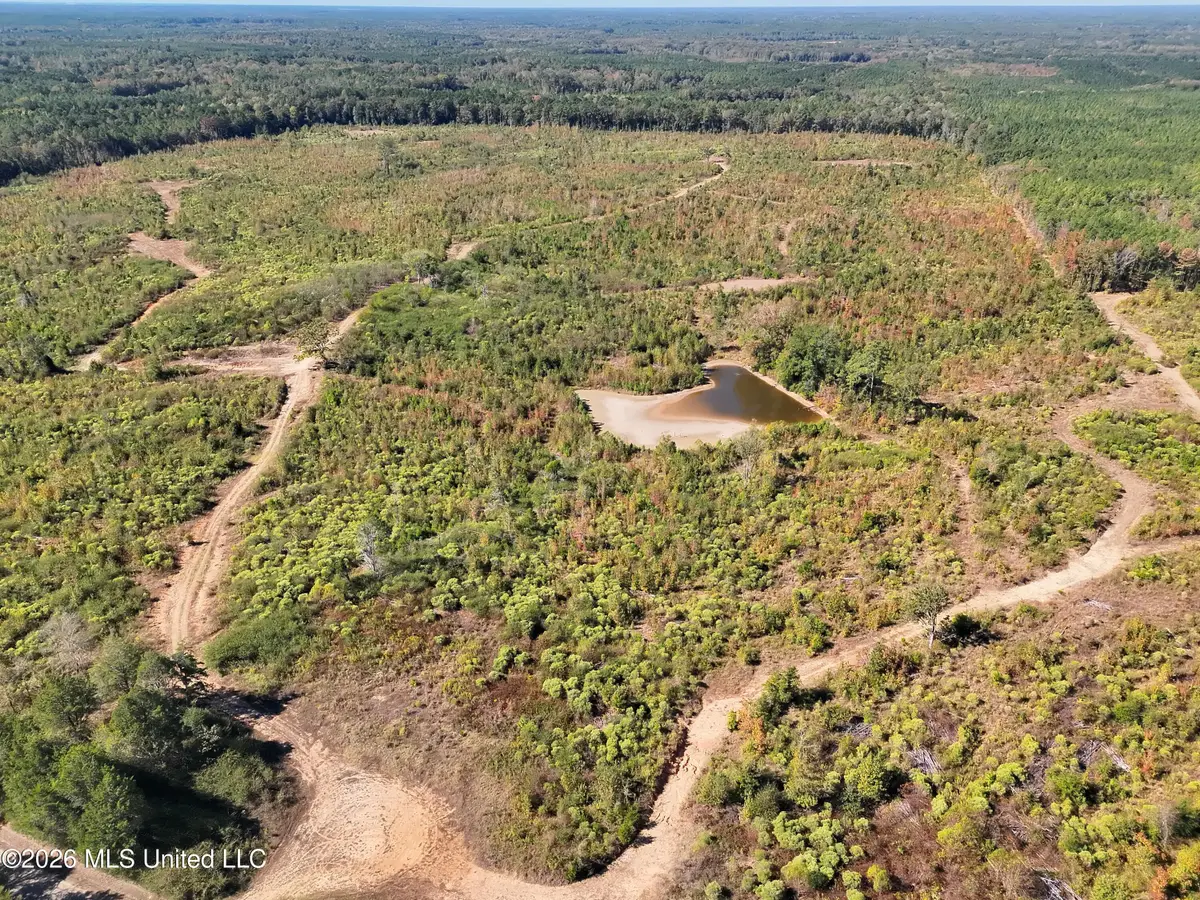Mansell Road, Camden, MS 39045 - #1