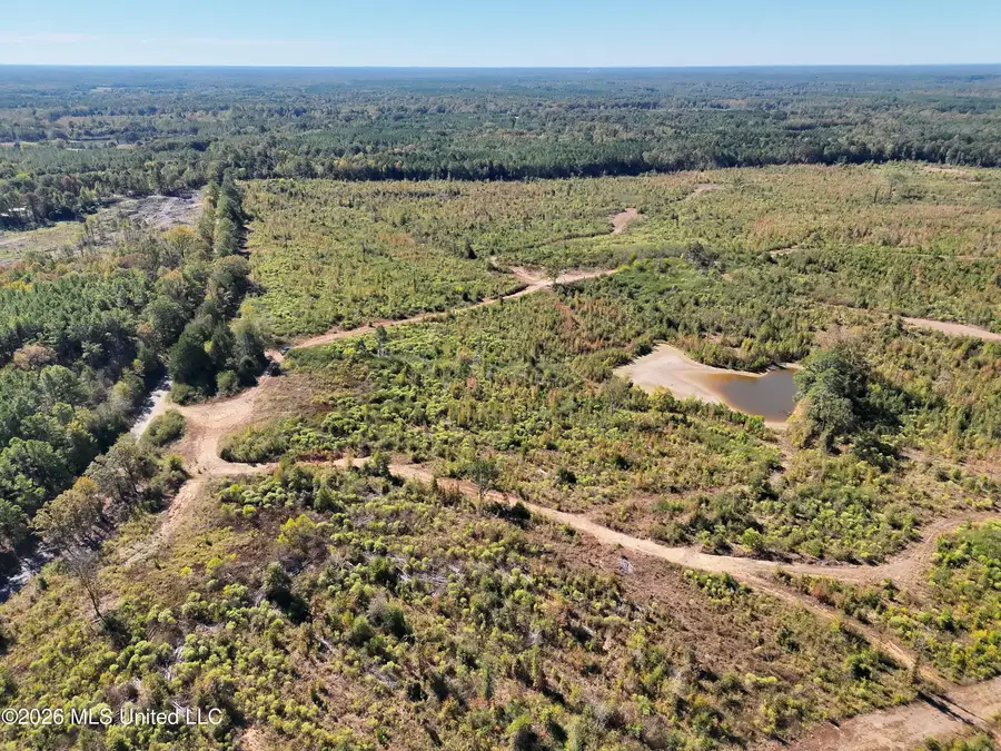 Mansell Road, Camden, MS 39045 - #3