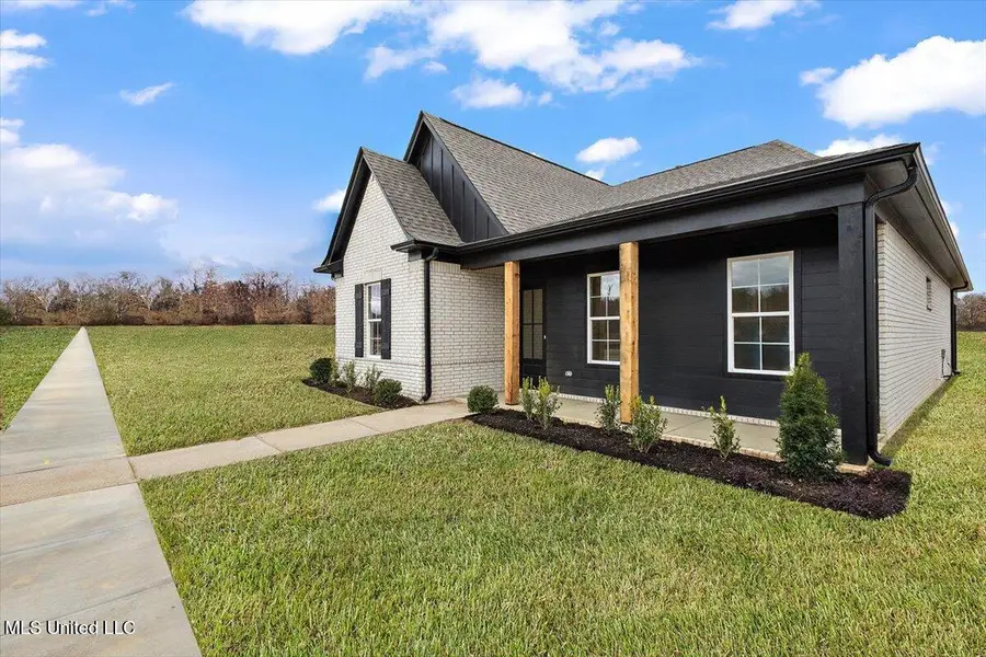 651 Washington Street, Nesbit, MS 38651 - #3