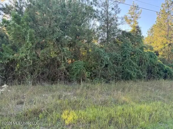 W Wortham Road, Saucier, MS 39574