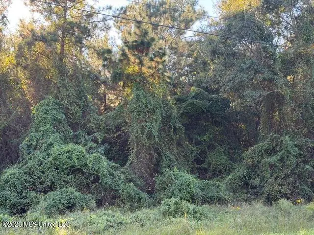 W Wortham Road, Saucier, MS 39574 - #1