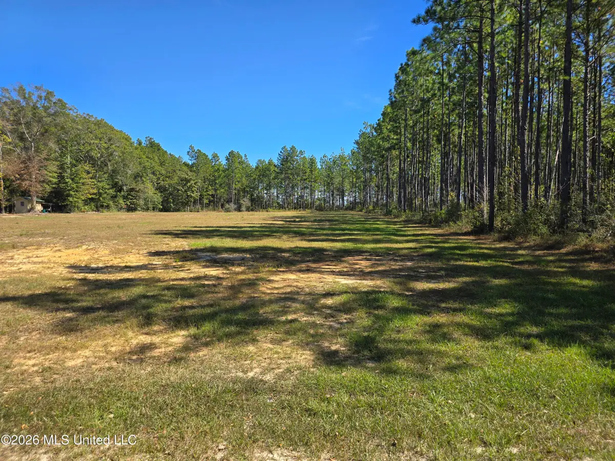 00 Old Hwy 49 Road, Saucier, MS 39574 - #1