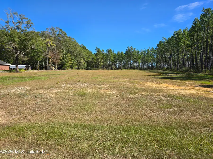 00 Old Hwy 49 Road, Saucier, MS 39574 - #2