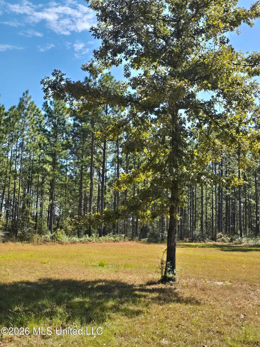 00 Old Hwy 49 Road, Saucier, MS 39574 - #3