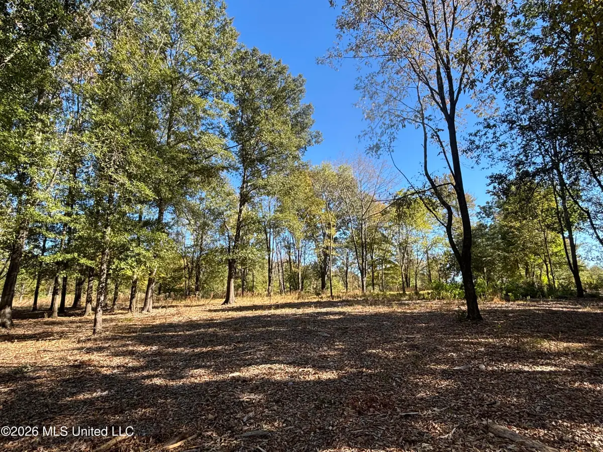 Rolling Meadows, Ridgeland, MS 39157 - #1