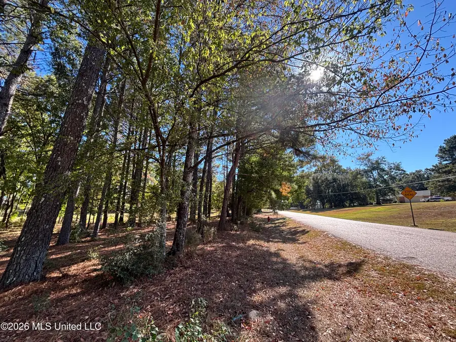 Rolling Meadows, Ridgeland, MS 39157 - #3