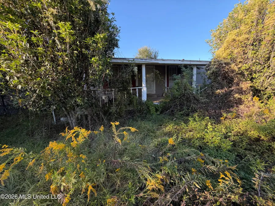 373 Bismark Road, Jayess, MS 39641 - #2