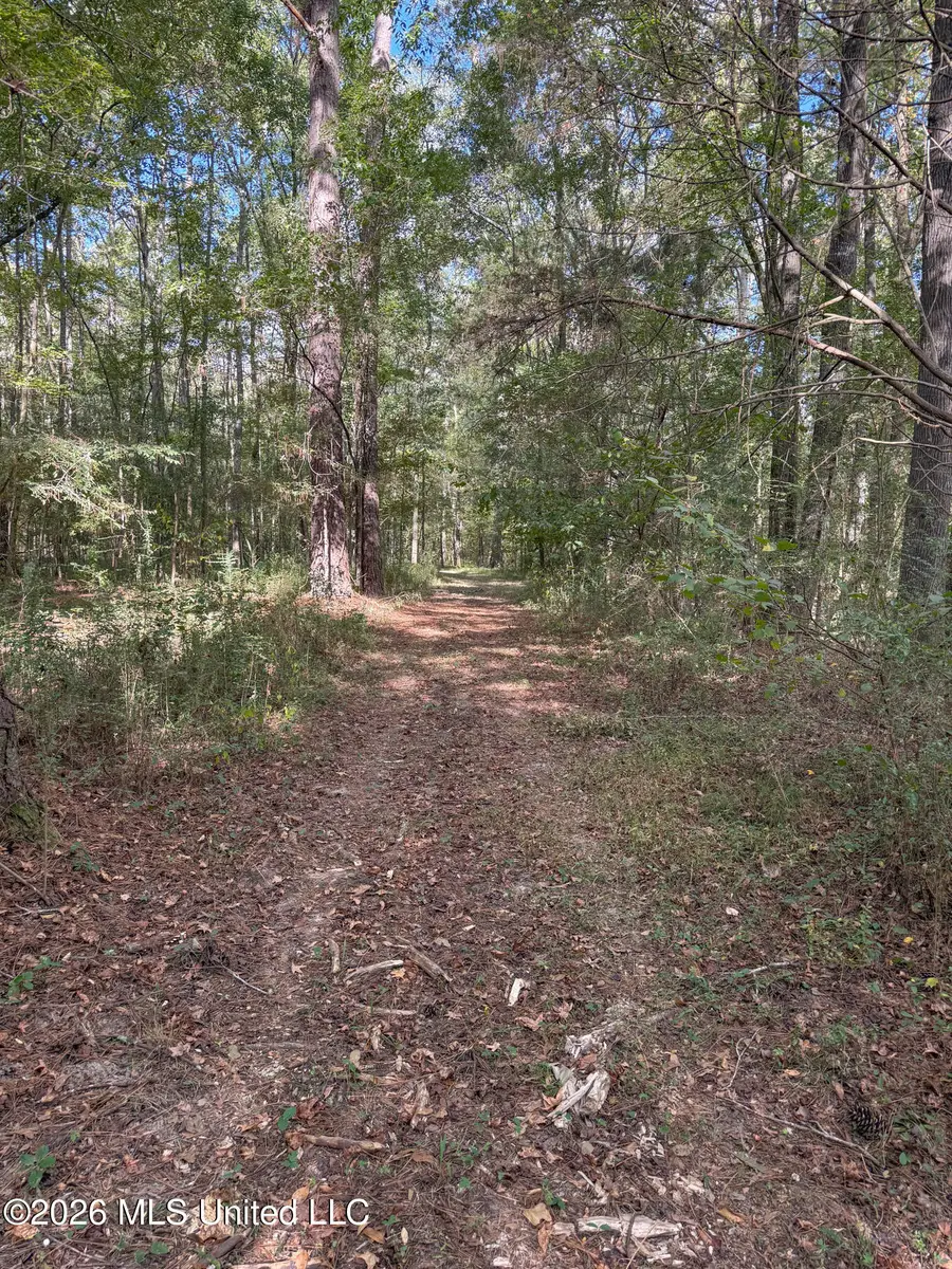 Highway 18, Brandon, MS 39042 - #2
