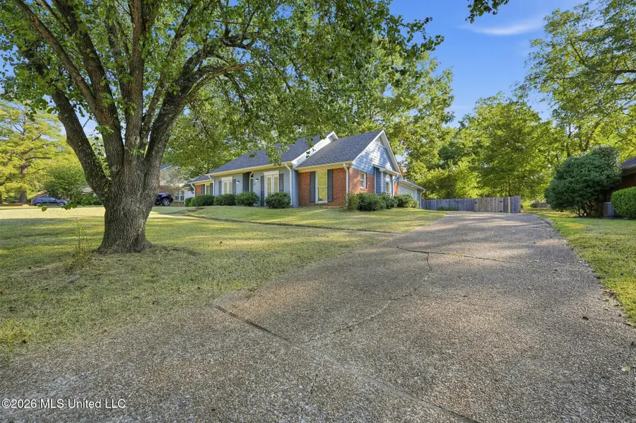 212 Waverly Place, Ridgeland, MS 39157 - #3